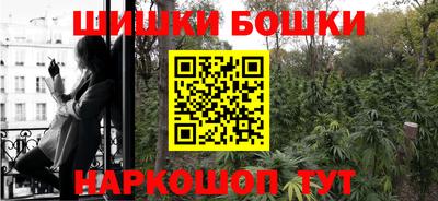 крисы Лесосибирск