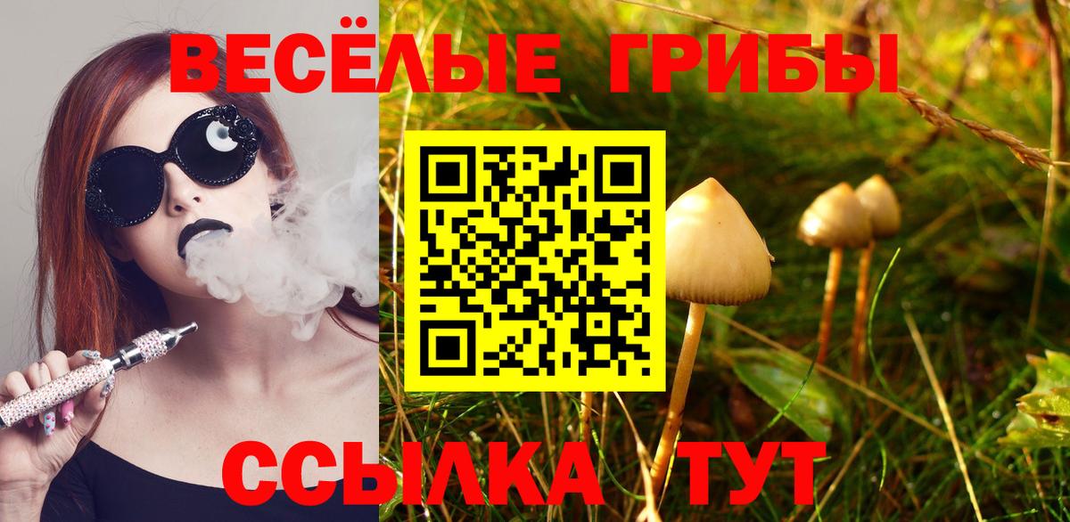 Галлюциногенные грибы Magic Shrooms Всеволожск